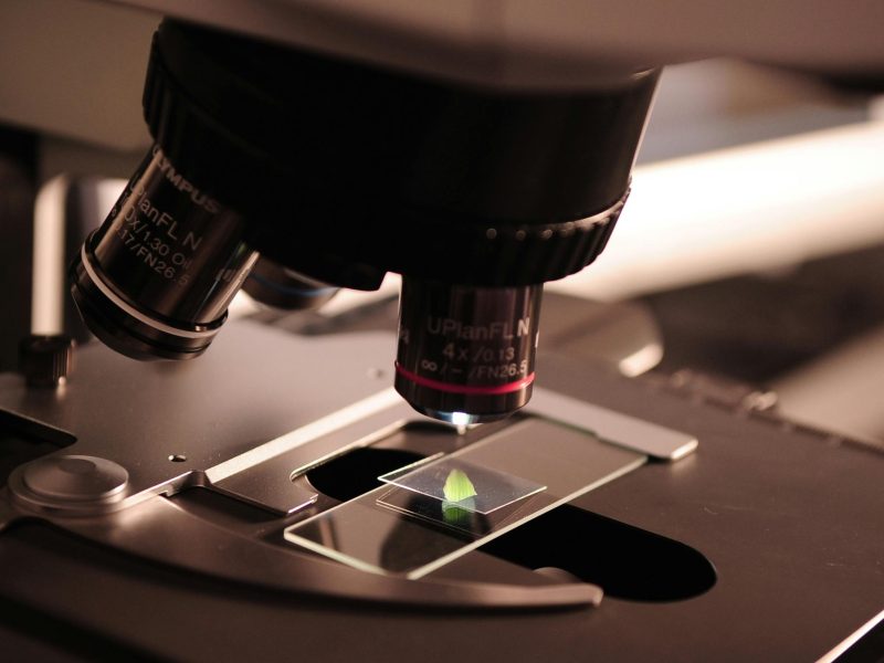 pexels-pixabay-256262